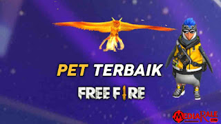 pet-ff-terbaik