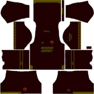 Kit DLS PS